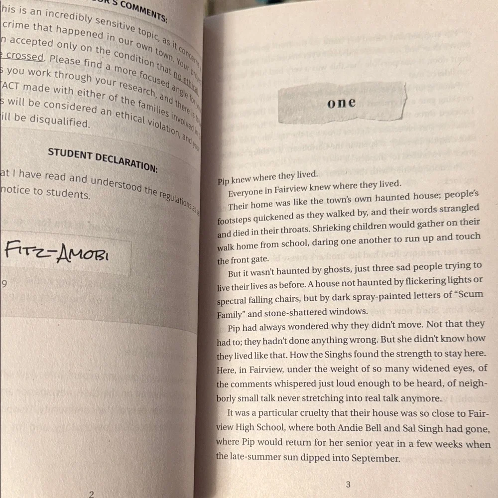 A Good Girl's Guide to Murder Book- Bundle books and SAVE!